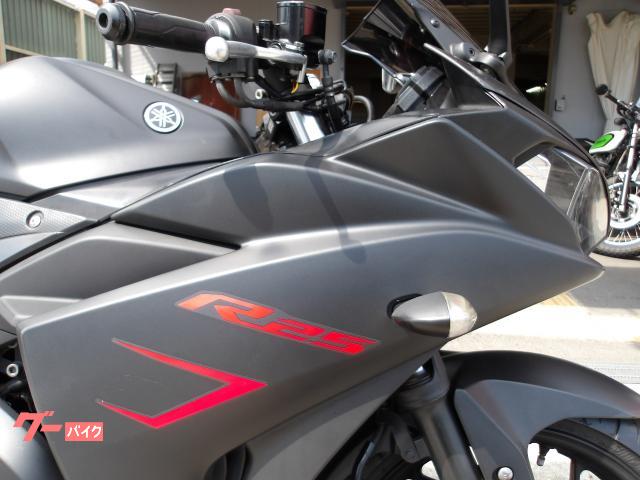 ヤマハ ＹＺＦ−Ｒ２５　２０１５年モデル　インジェクション　水冷２気筒エンジン搭載 写真13