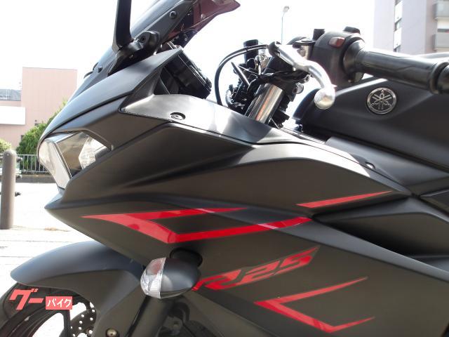 ヤマハ ＹＺＦ−Ｒ２５　２０１５年モデル　インジェクション　水冷２気筒エンジン搭載 写真38