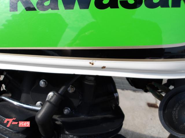 カワサキ ２５０ＴＲ　２００８年モデル　インジェクション　空冷単気筒エンジン 写真8