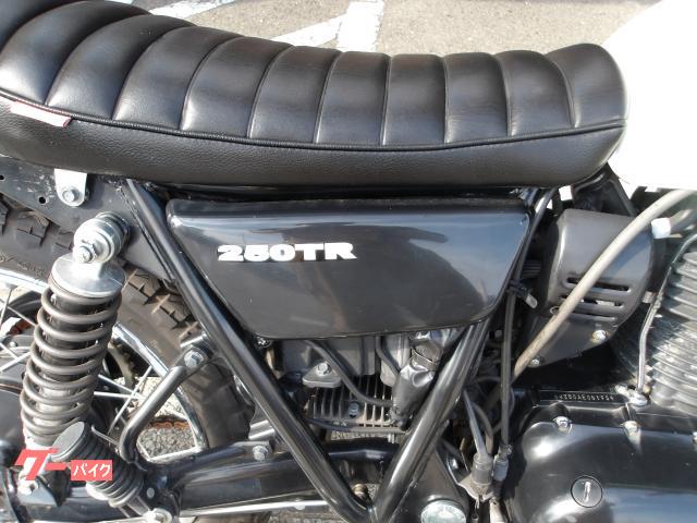 カワサキ ２５０ＴＲ　２００８年モデル　インジェクション　空冷単気筒エンジン 写真9