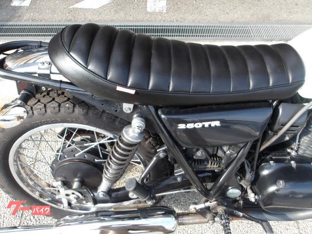 カワサキ ２５０ＴＲ　２００８年モデル　インジェクション　空冷単気筒エンジン 写真10