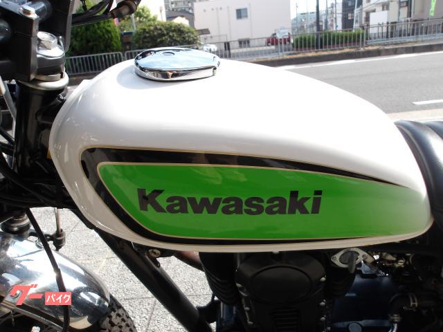 カワサキ ２５０ＴＲ　２００８年モデル　インジェクション　空冷単気筒エンジン 写真31