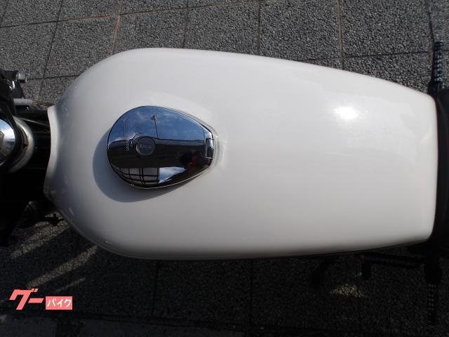 カワサキ ２５０ＴＲ　２００８年モデル　インジェクション　空冷単気筒エンジン 写真46