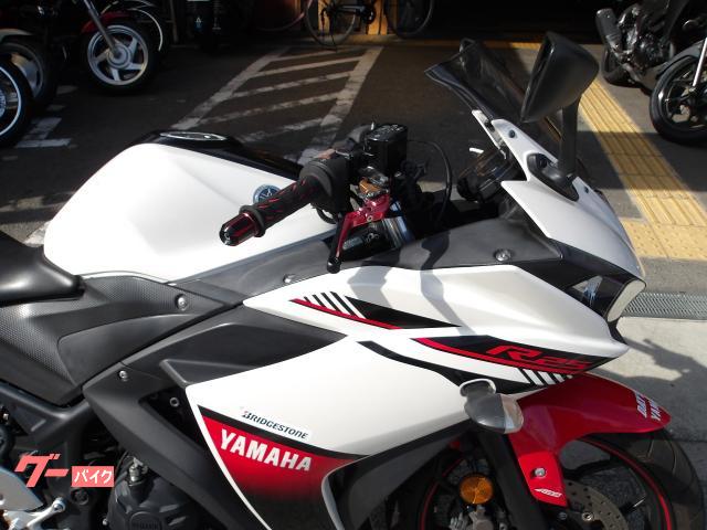 ヤマハ YZF−R25 2016年モデル アクラボサイレンサー インジェクション 水冷2気筒エンジン搭載 写真6