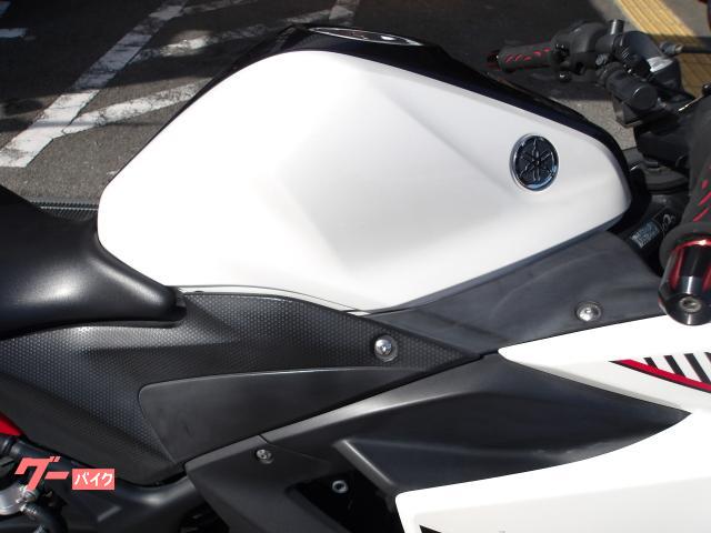 ヤマハ YZF−R25 2016年モデル アクラボサイレンサー インジェクション 水冷2気筒エンジン搭載 写真8