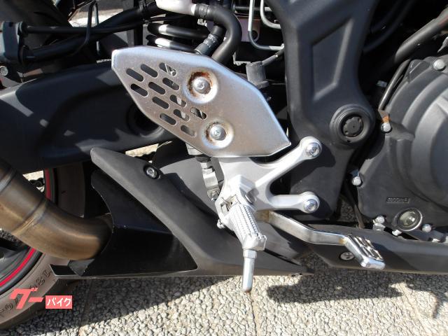 ヤマハ YZF−R25 2016年モデル アクラボサイレンサー インジェクション 水冷2気筒エンジン搭載 写真15