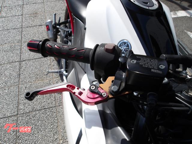 ヤマハ YZF−R25 2016年モデル アクラボサイレンサー インジェクション 水冷2気筒エンジン搭載 写真20