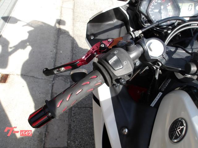ヤマハ YZF−R25 2016年モデル アクラボサイレンサー インジェクション 水冷2気筒エンジン搭載 写真39
