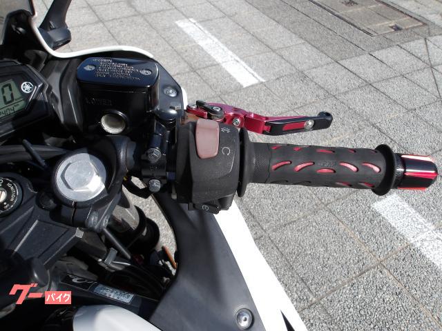 ヤマハ YZF−R25 2016年モデル アクラボサイレンサー インジェクション 水冷2気筒エンジン搭載 写真40