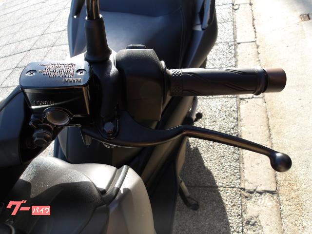 ヤマハ Ｘ−ＭＡＸ２５０　２０１８年　ＡＢＳ　インジェクション 写真19