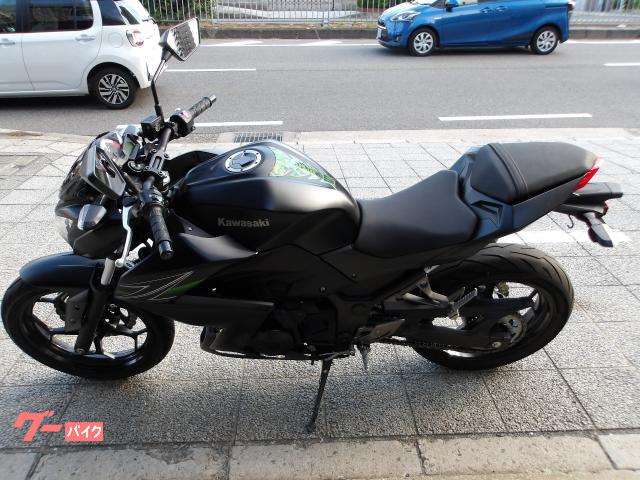 カワサキ Z250 2013年モデル インジェクション 水冷2気筒エンジン搭載 写真3