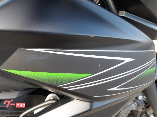 カワサキ Z250 2013年モデル インジェクション 水冷2気筒エンジン搭載 写真8