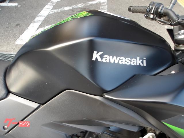 カワサキ Z250 2013年モデル インジェクション 水冷2気筒エンジン搭載 写真9