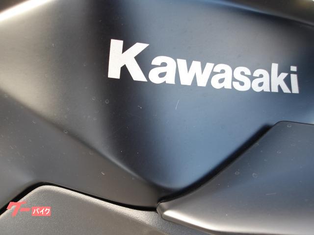 カワサキ Z250 2013年モデル インジェクション 水冷2気筒エンジン搭載 写真10