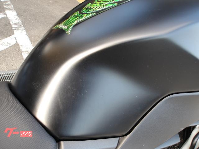 カワサキ Z250 2013年モデル インジェクション 水冷2気筒エンジン搭載 写真11