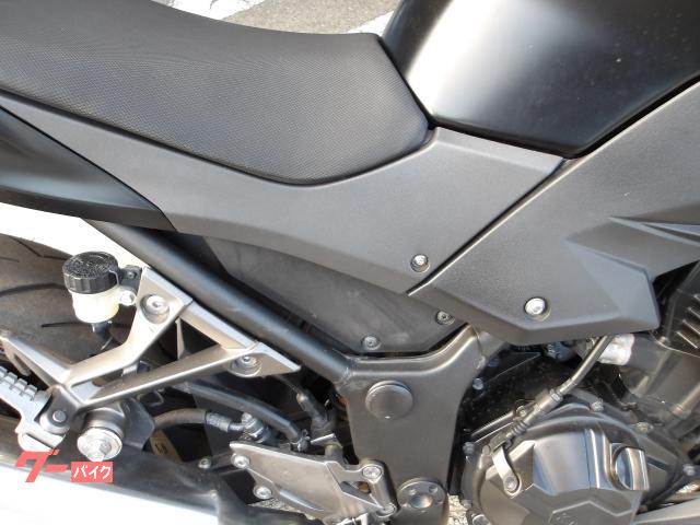 カワサキ Z250 2013年モデル インジェクション 水冷2気筒エンジン搭載 写真12