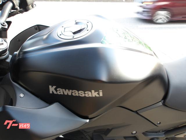 カワサキ Z250 2013年モデル インジェクション 水冷2気筒エンジン搭載 写真40