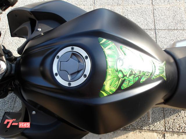 カワサキ Z250 2013年モデル インジェクション 水冷2気筒エンジン搭載 写真55