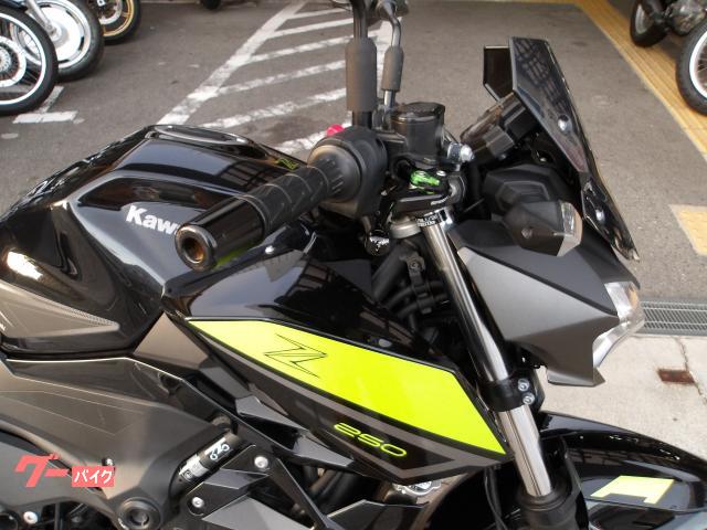 カワサキ Z250 2022年モデル ABS ETC インジェクション 水冷2気筒エンジン搭載 写真6