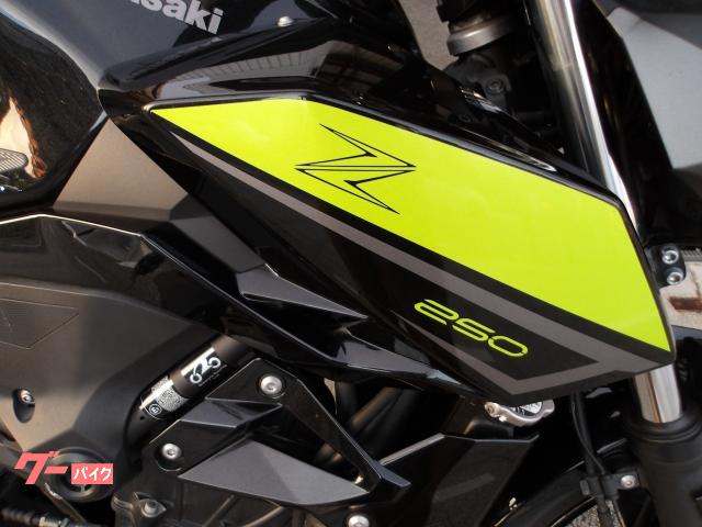 カワサキ Z250 2022年モデル ABS ETC インジェクション 水冷2気筒エンジン搭載 写真7