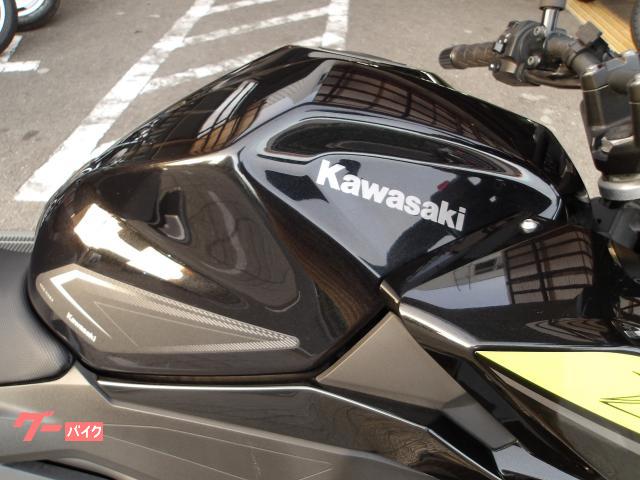 カワサキ Z250 2022年モデル ABS ETC インジェクション 水冷2気筒エンジン搭載 写真8