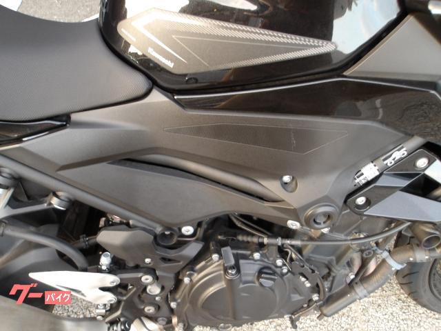 カワサキ Z250 2022年モデル ABS ETC インジェクション 水冷2気筒エンジン搭載 写真10