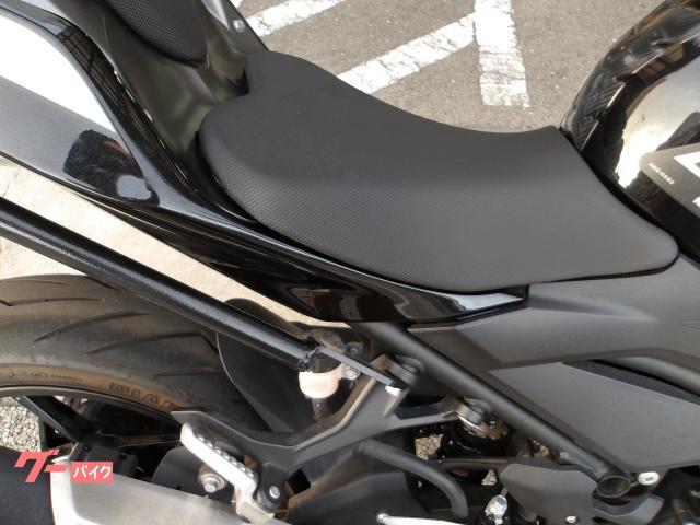カワサキ Z250 2022年モデル ABS ETC インジェクション 水冷2気筒エンジン搭載 写真12