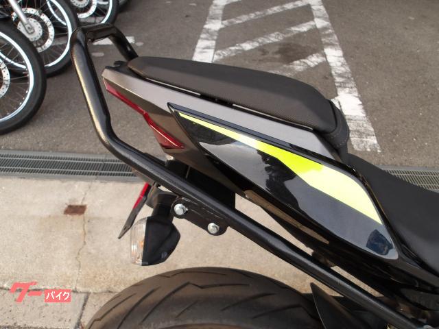 カワサキ Z250 2022年モデル ABS ETC インジェクション 水冷2気筒エンジン搭載 写真13