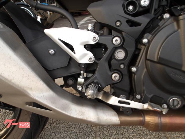 カワサキ Z250 2022年モデル ABS ETC インジェクション 水冷2気筒エンジン搭載 写真19