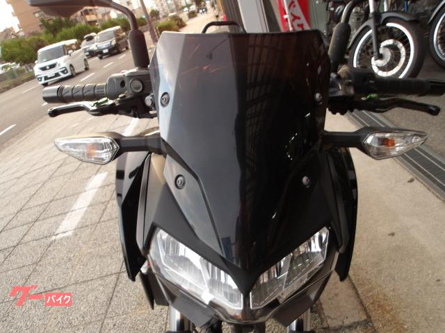 カワサキ Z250 2022年モデル ABS ETC インジェクション 水冷2気筒エンジン搭載 写真28