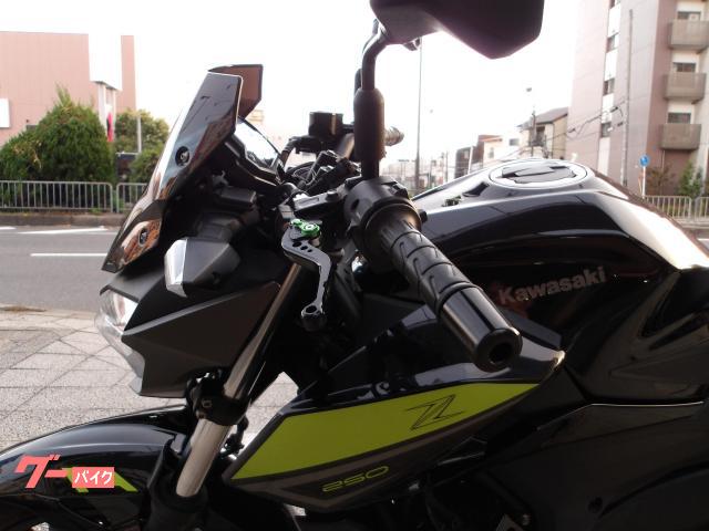 カワサキ Z250 2022年モデル ABS ETC インジェクション 水冷2気筒エンジン搭載 写真34