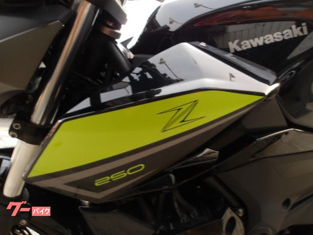 カワサキ Z250 2022年モデル ABS ETC インジェクション 水冷2気筒エンジン搭載 写真35