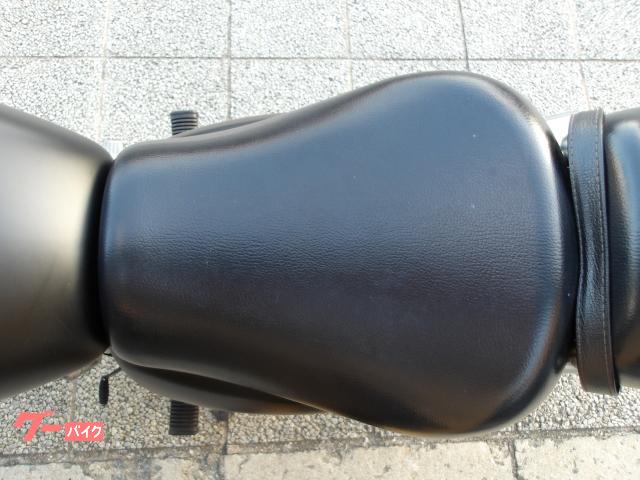 スズキ ST250 Eタイプ 2008年モデル インジェクション 空冷単気筒エンジン 写真54
