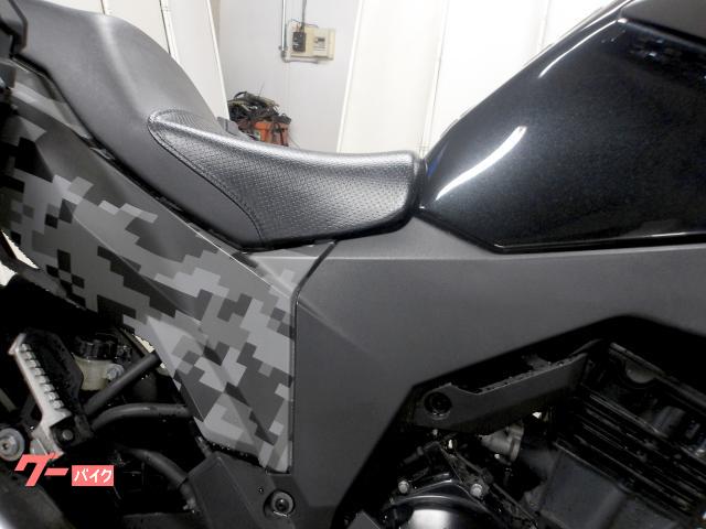 カワサキ VERSYSーX 250 ツアラー 2018年モデル インジェクション 水冷2気筒エンジン搭載 写真20