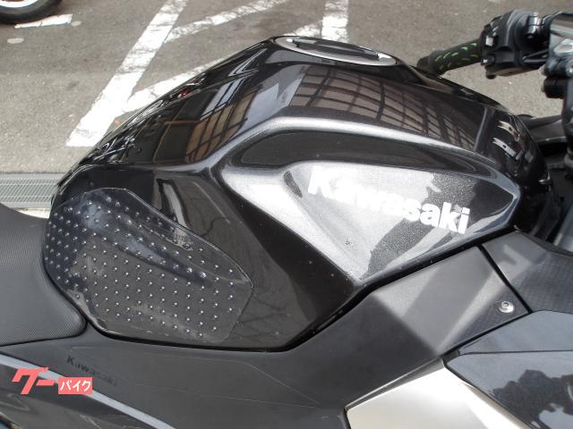 カワサキ Ｎｉｎｊａ　２５０　２０２２年モデル　ＡＢＳ　純正スペアキー　インジェクション　水冷２気筒エンジン搭載 写真8