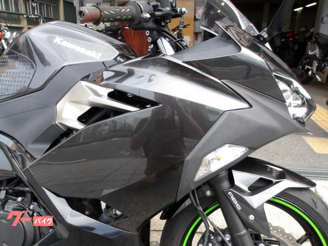 カワサキ Ｎｉｎｊａ　２５０　２０２２年モデル　ＡＢＳ　純正スペアキー　インジェクション　水冷２気筒エンジン搭載 写真15