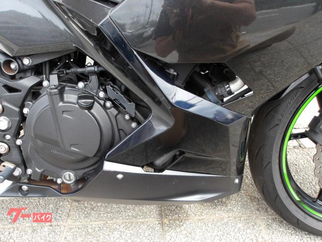 カワサキ Ｎｉｎｊａ　２５０　２０２２年モデル　ＡＢＳ　純正スペアキー　インジェクション　水冷２気筒エンジン搭載 写真21