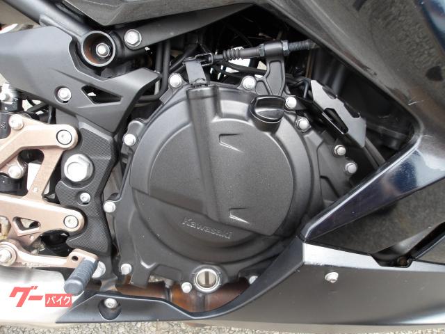 カワサキ Ｎｉｎｊａ　２５０　２０２２年モデル　ＡＢＳ　純正スペアキー　インジェクション　水冷２気筒エンジン搭載 写真25