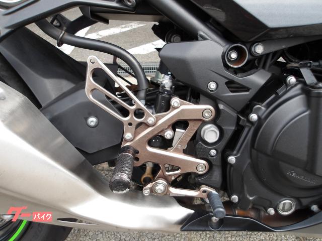 カワサキ Ｎｉｎｊａ　２５０　２０２２年モデル　ＡＢＳ　純正スペアキー　インジェクション　水冷２気筒エンジン搭載 写真26