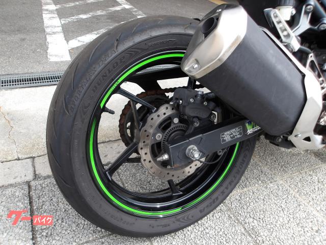 カワサキ Ｎｉｎｊａ　２５０　２０２２年モデル　ＡＢＳ　純正スペアキー　インジェクション　水冷２気筒エンジン搭載 写真30