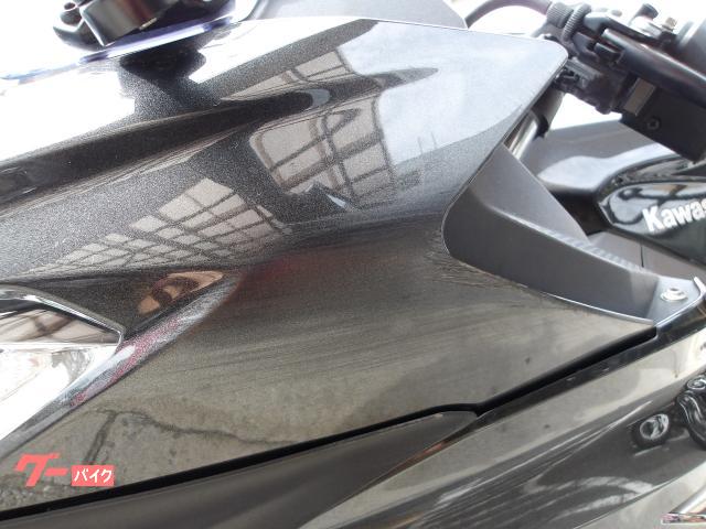 カワサキ Ｎｉｎｊａ　２５０　２０２２年モデル　ＡＢＳ　純正スペアキー　インジェクション　水冷２気筒エンジン搭載 写真43