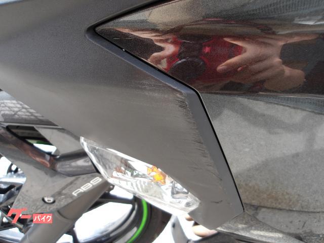 カワサキ Ｎｉｎｊａ　２５０　２０２２年モデル　ＡＢＳ　純正スペアキー　インジェクション　水冷２気筒エンジン搭載 写真52
