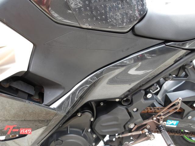 カワサキ Ｎｉｎｊａ　２５０　２０２２年モデル　ＡＢＳ　純正スペアキー　インジェクション　水冷２気筒エンジン搭載 写真54
