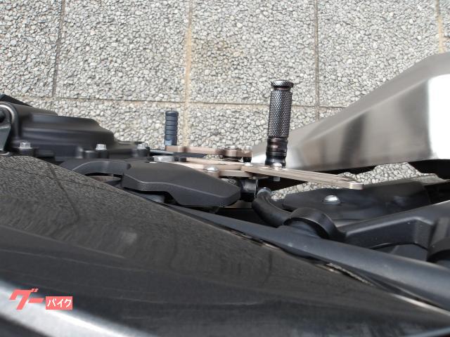 カワサキ Ｎｉｎｊａ　２５０　２０２２年モデル　ＡＢＳ　純正スペアキー　インジェクション　水冷２気筒エンジン搭載 写真71