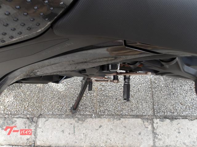 カワサキ Ｎｉｎｊａ　２５０　２０２２年モデル　ＡＢＳ　純正スペアキー　インジェクション　水冷２気筒エンジン搭載 写真72
