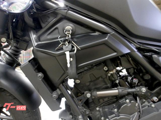 ホンダ レブル250 2021年モデル モリワキサイレンサー ステップ ビキニカウル 写真29