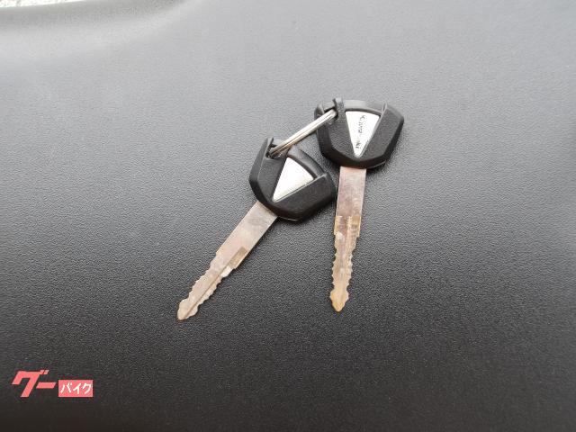 カワサキ Ｎｉｎｊａ　ＺＸ−２５Ｒ　２０２２年モデル　ＡＢＳ　純正スペアキー　インジェクション　水冷４気筒エンジン搭載 写真71