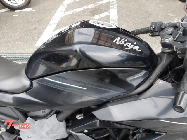 カワサキ Ｎｉｎｊａ　２５０ＳＬ　２０１６年モデル　純正スペアキー　インジェクション　水冷単筒エンジン搭載 写真7