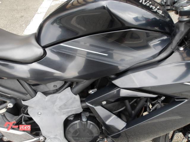 カワサキ Ｎｉｎｊａ　２５０ＳＬ　２０１６年モデル　純正スペアキー　インジェクション　水冷単筒エンジン搭載 写真9