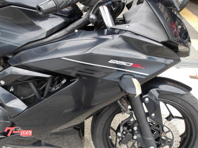 カワサキ Ｎｉｎｊａ　２５０ＳＬ　２０１６年モデル　純正スペアキー　インジェクション　水冷単筒エンジン搭載 写真13